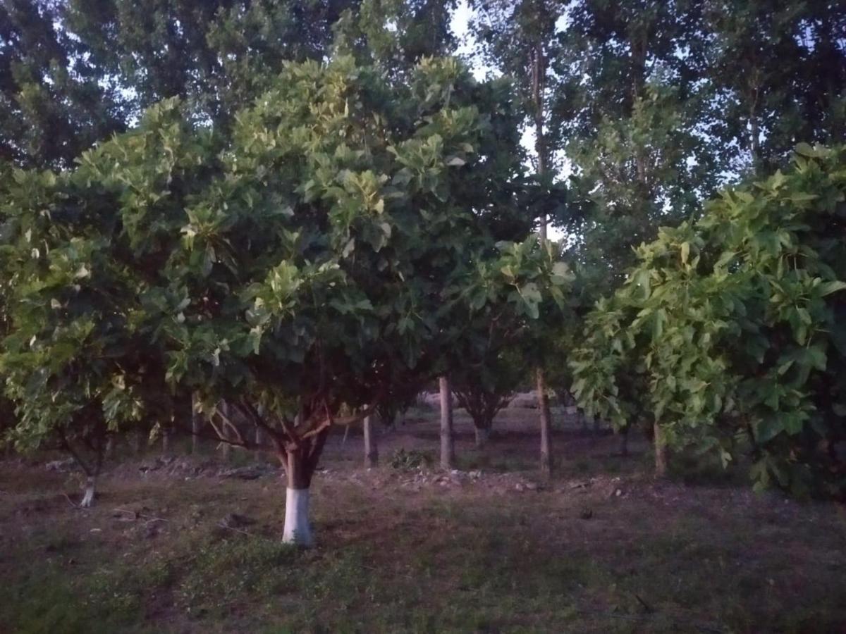Finca La Julia Luyaba Екстер'єр фото