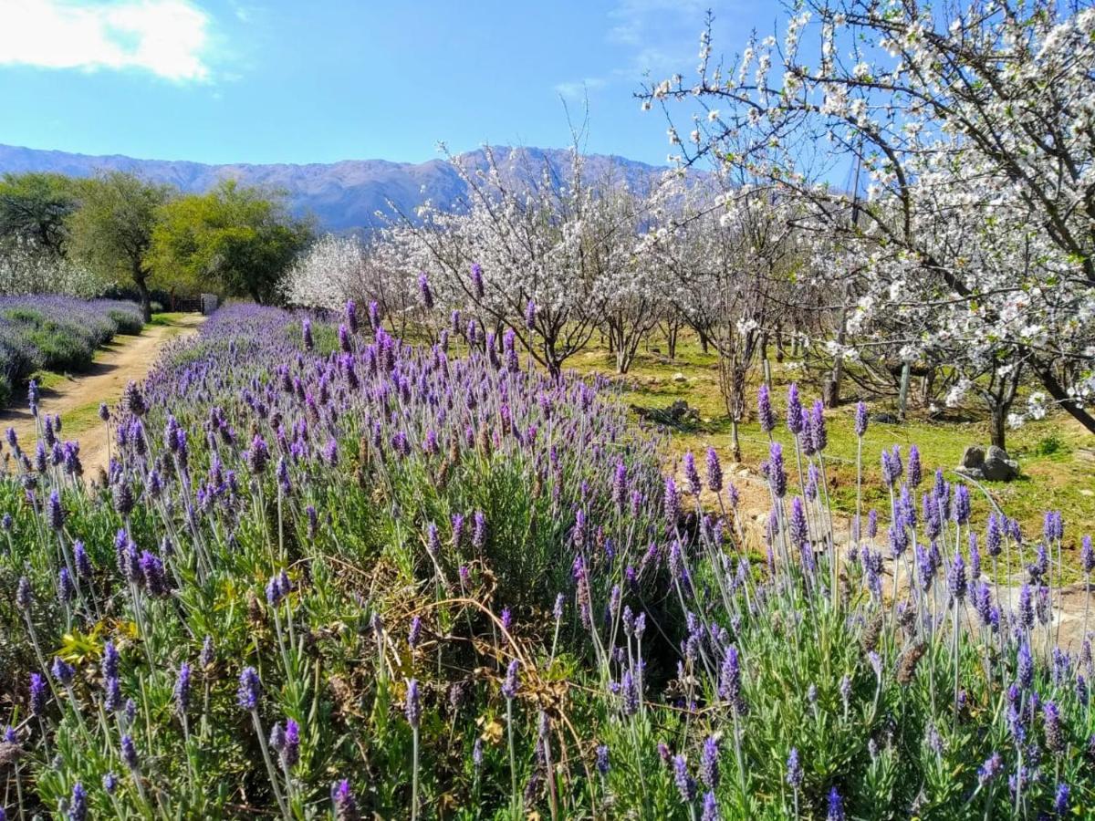 Finca La Julia Luyaba Екстер'єр фото