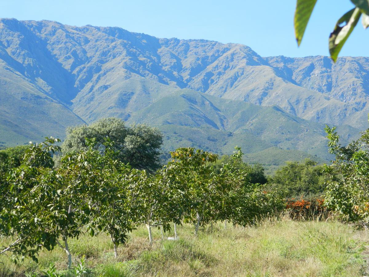 Finca La Julia Luyaba Екстер'єр фото